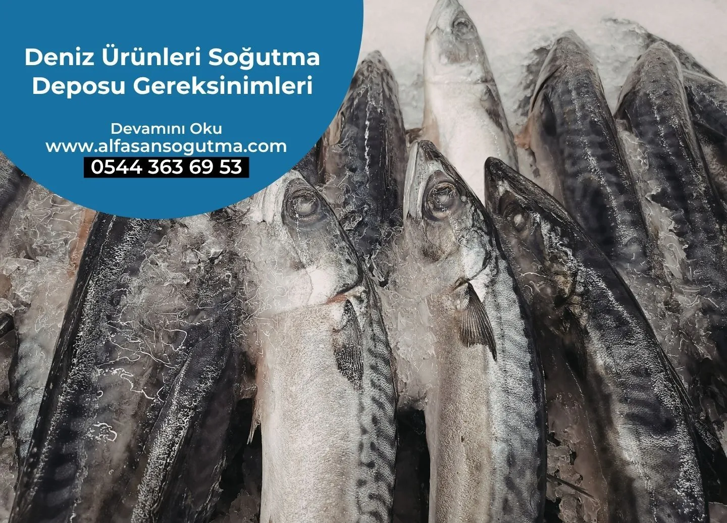 Deniz Ürünleri Soğutma Deposu Gereksinimleri