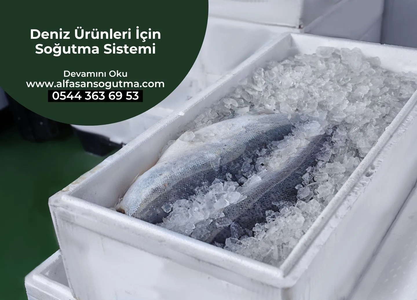 Deniz Ürünleri İçin Soğutma Sistemi