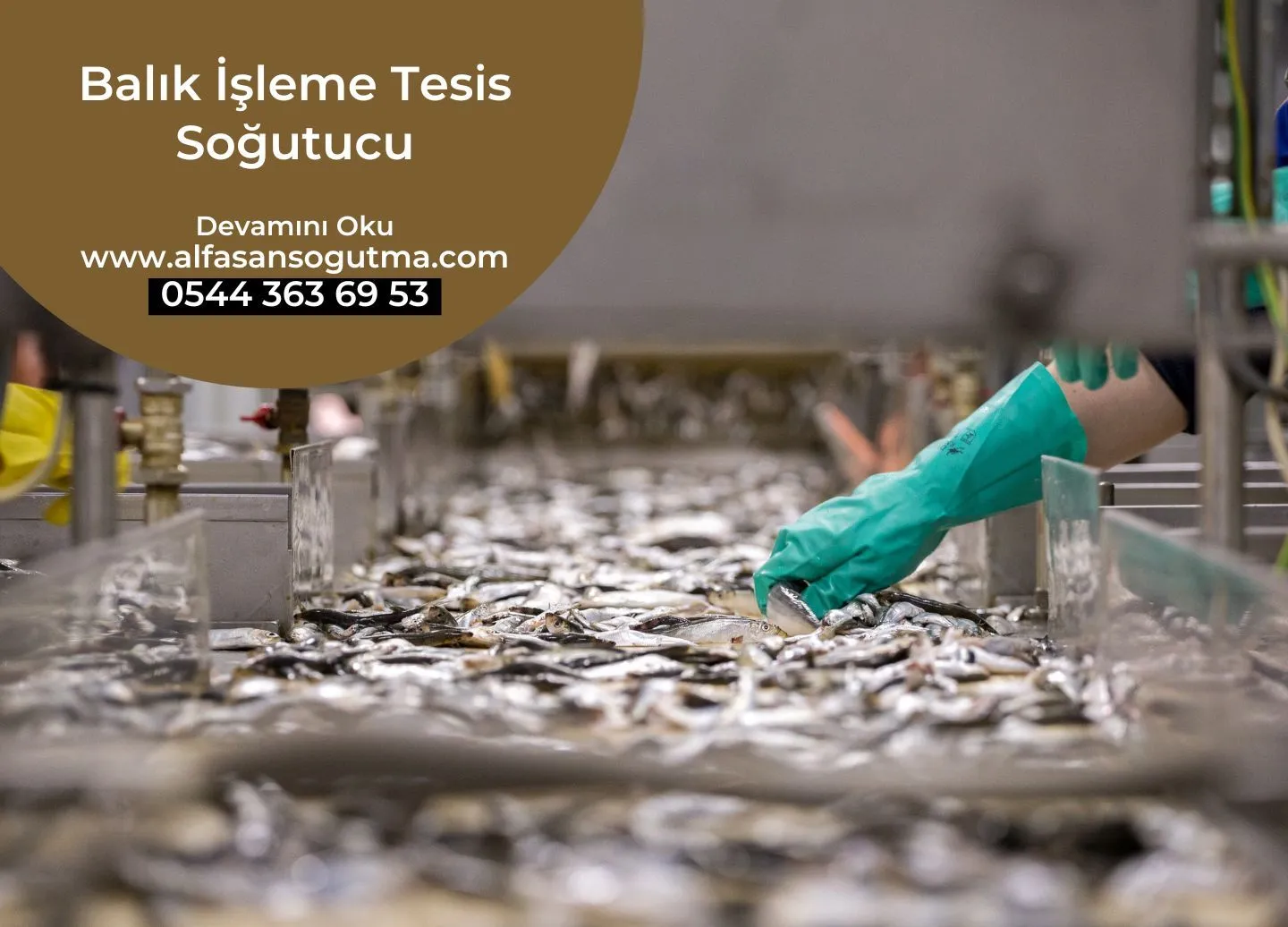 Balık İşleme Tesis Soğutucu