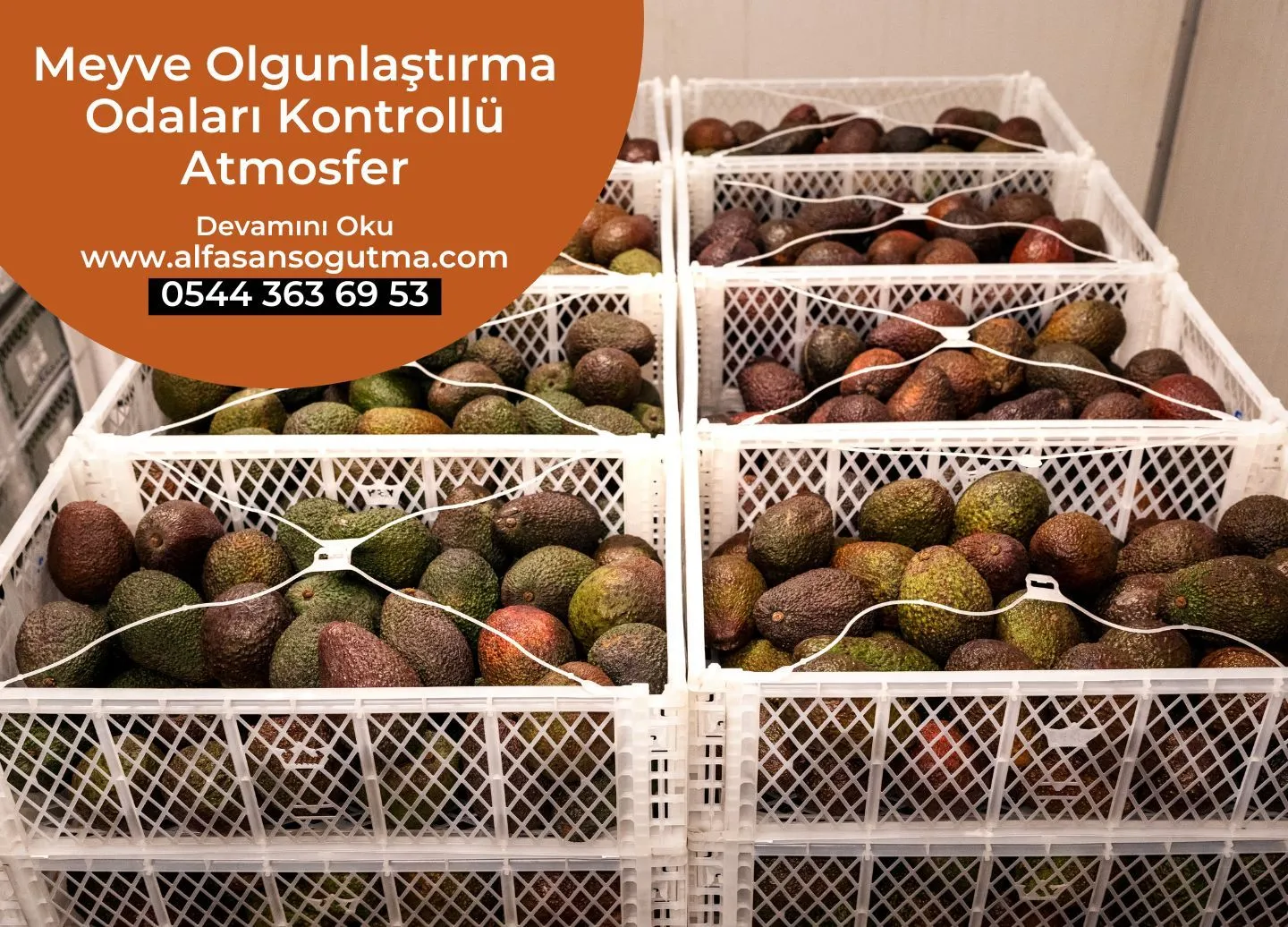 Meyve Olgunlaştırma Odaları Kontrollü Atmosfer