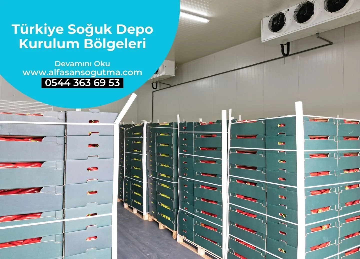 Türkiye Soğuk Depo Kurulum Bölgeleri