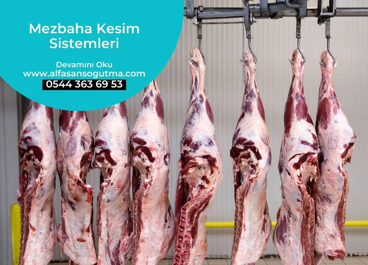 Mezbaha Kesim Sistemleri