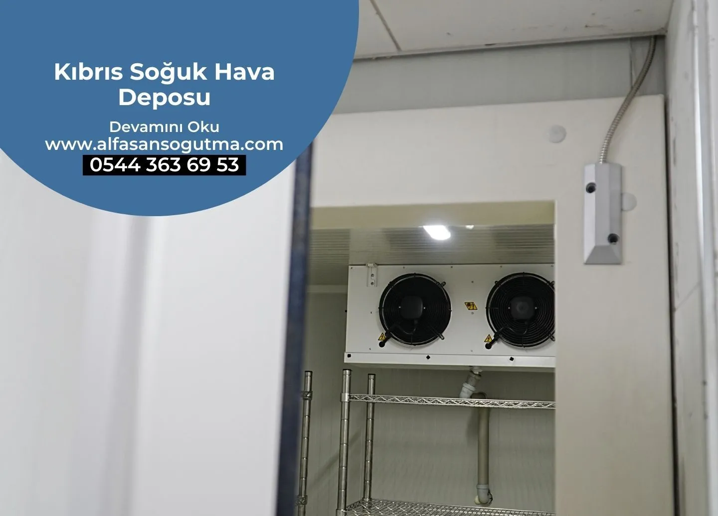 Kıbrıs Soğuk Hava Deposu