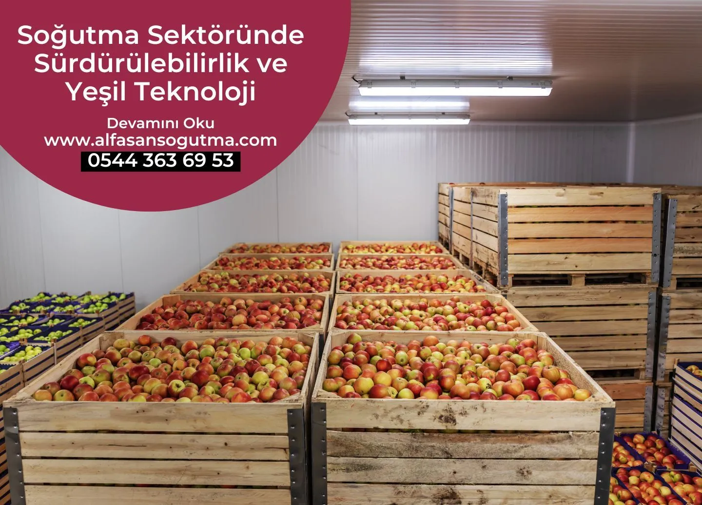 Soğutma Sektöründe Sürdürülebilirlik ve Yeşil Teknoloji