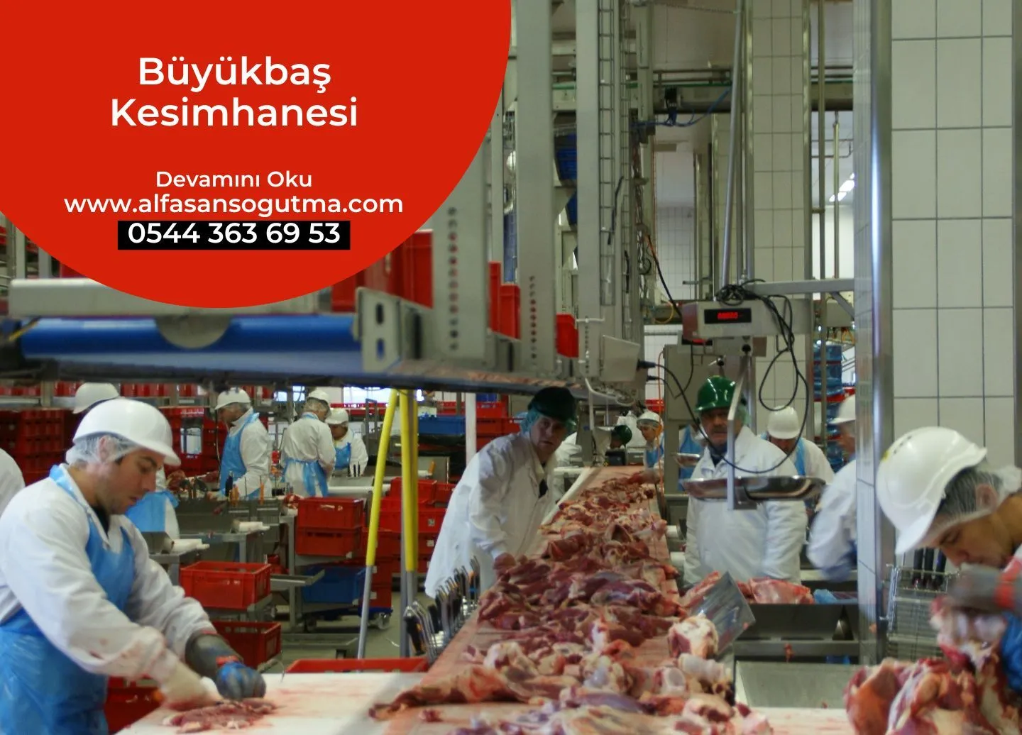Büyükbaş Kesimhanesi