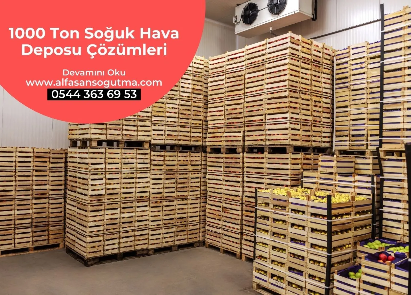 1000 Ton Soğuk Hava Deposu Çözümleri