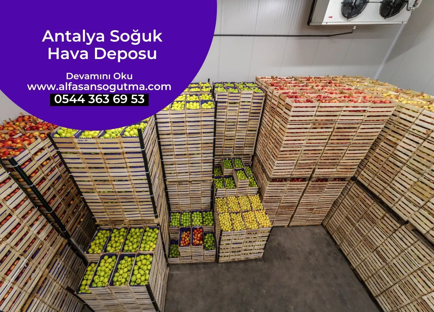 Antalya Soğuk Hava Deposu