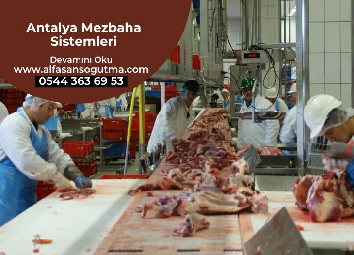 Antalya Mezbaha Sistemleri