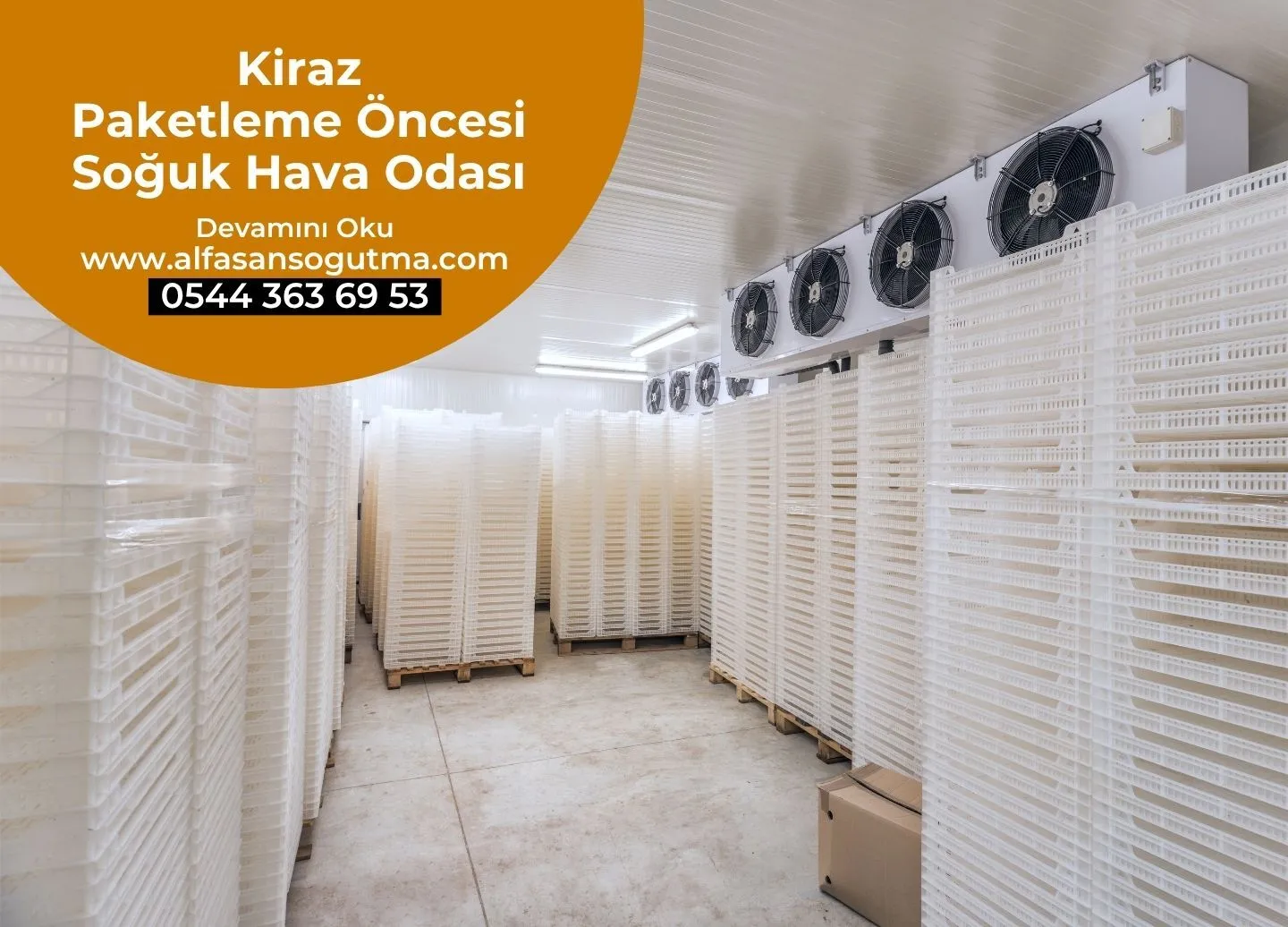 Kiraz Paketleme Öncesi Soğuk Hava Odası