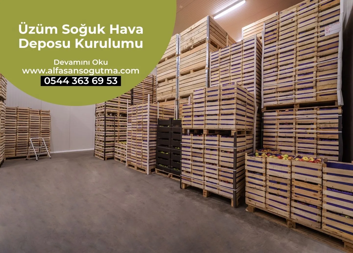 Üzüm Soğuk Hava Deposu Kurulumu