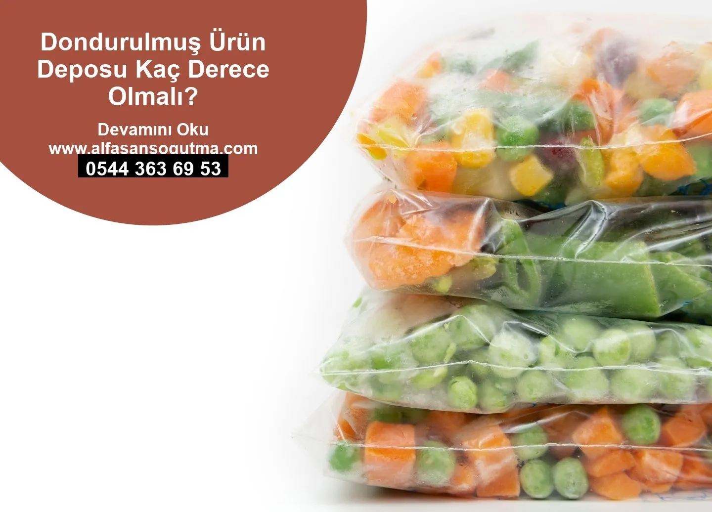 Dondurulmuş Ürün Deposu Kaç Derece Olmalı?