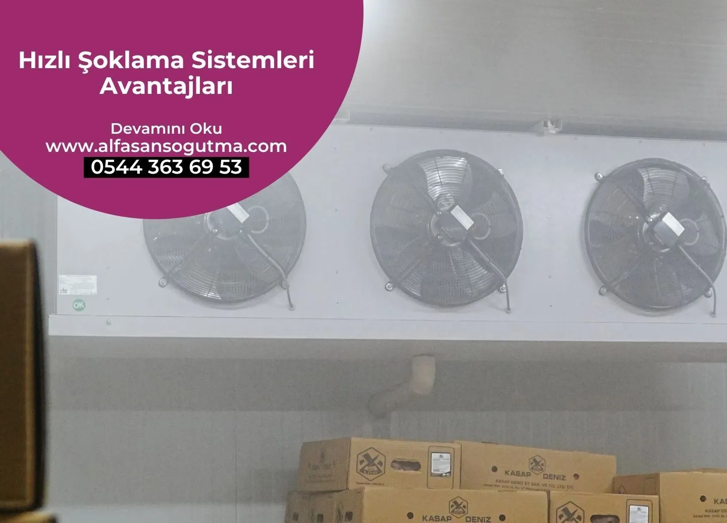 Hızlı Şoklama Sistemleri Avantajları