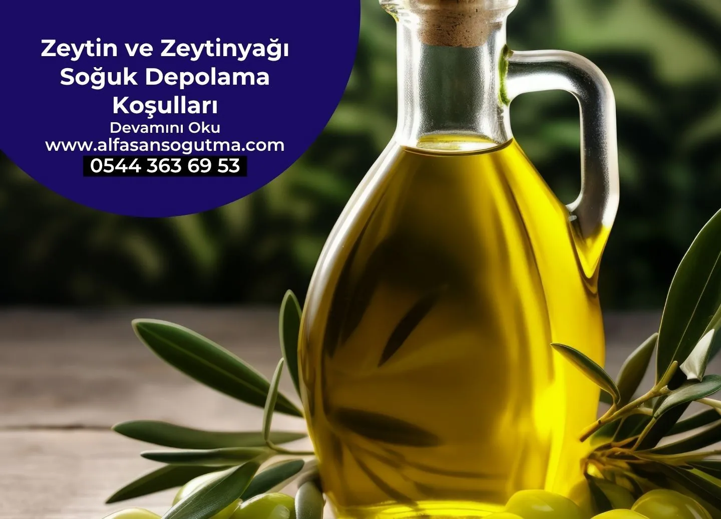 Zeytin ve Zeytinyağı Soğuk Depolama Koşulları