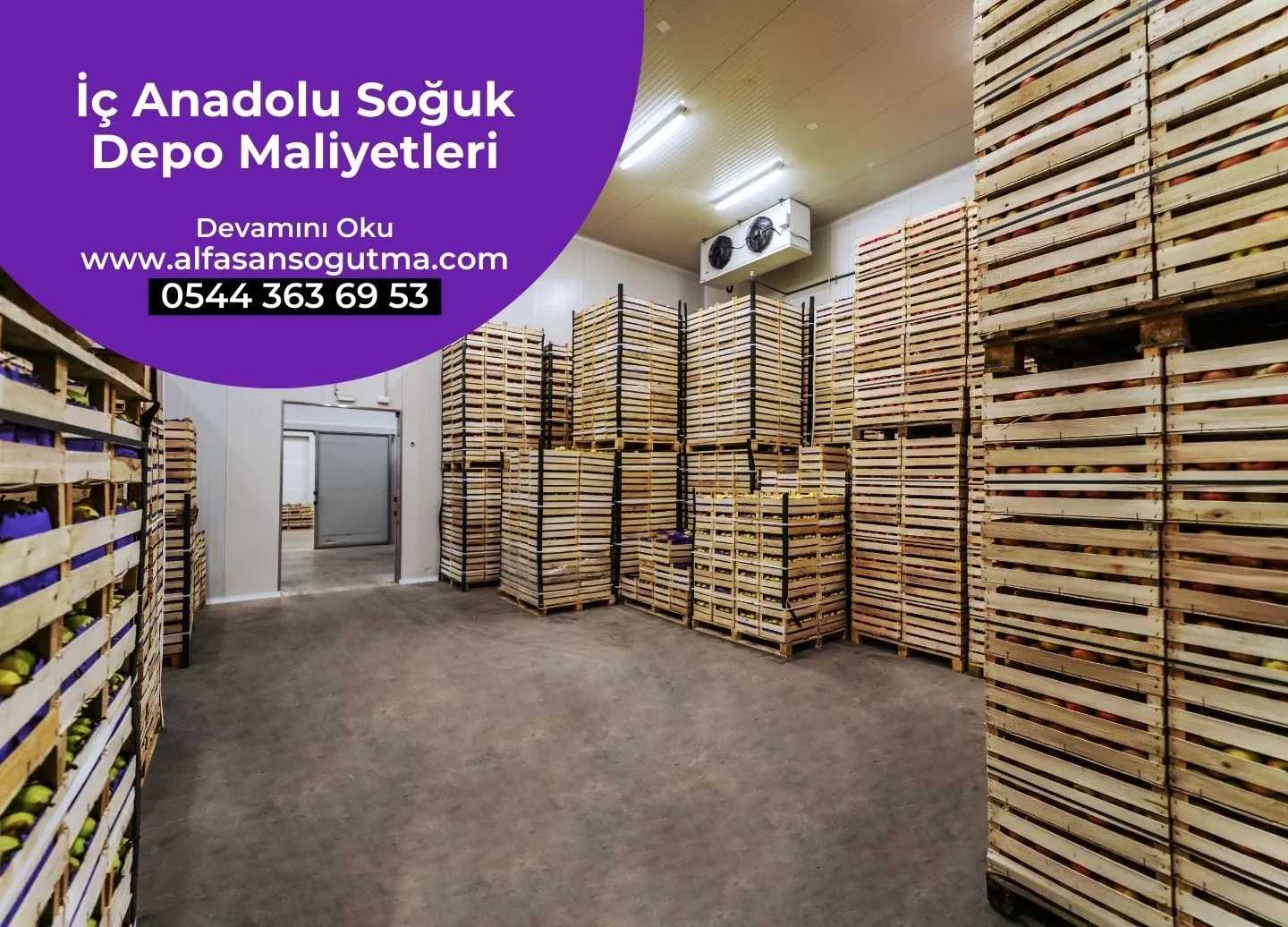 İç Anadolu Soğuk Depo Maliyetleri