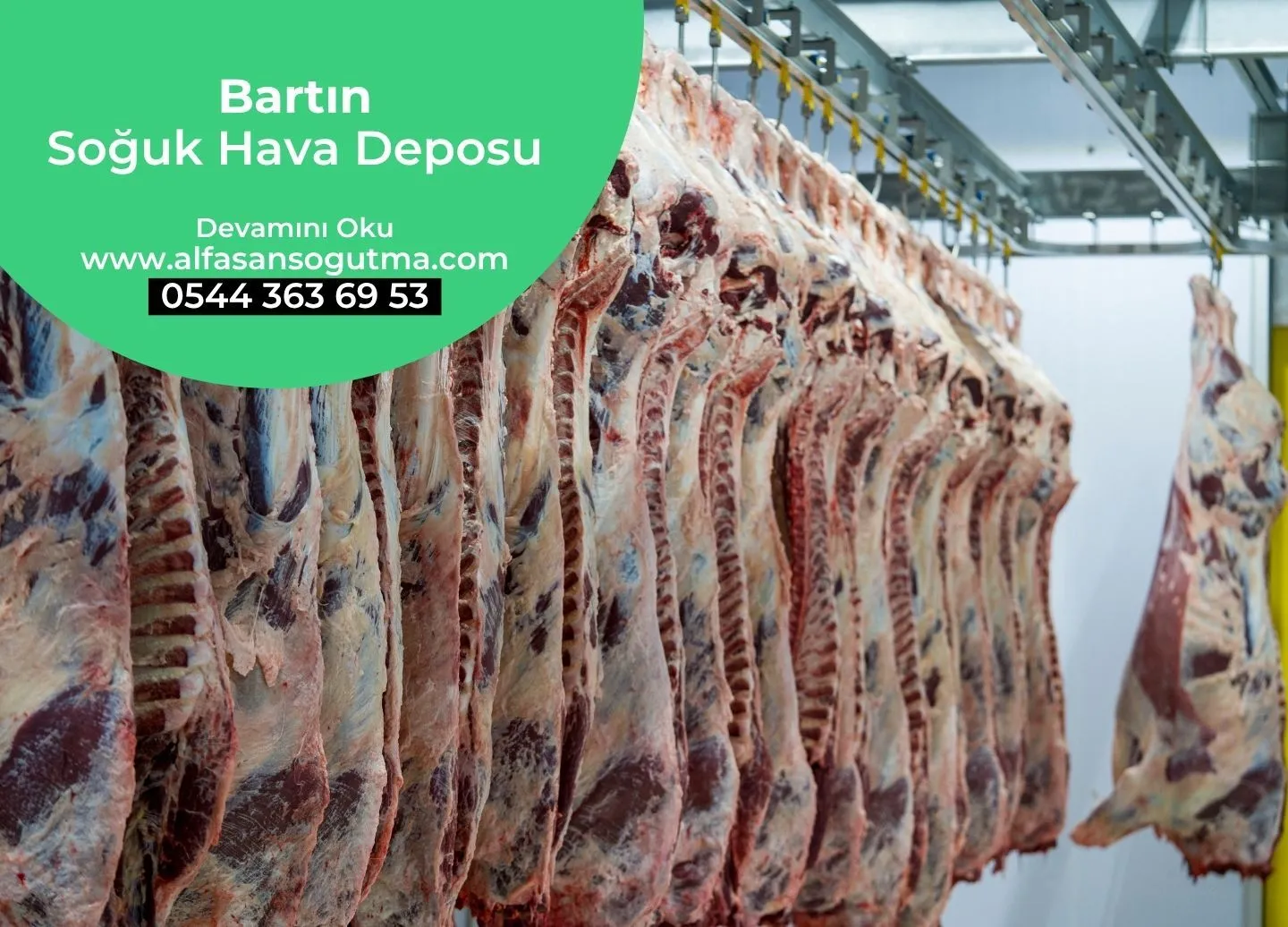 Bartın Soğuk Hava Deposu