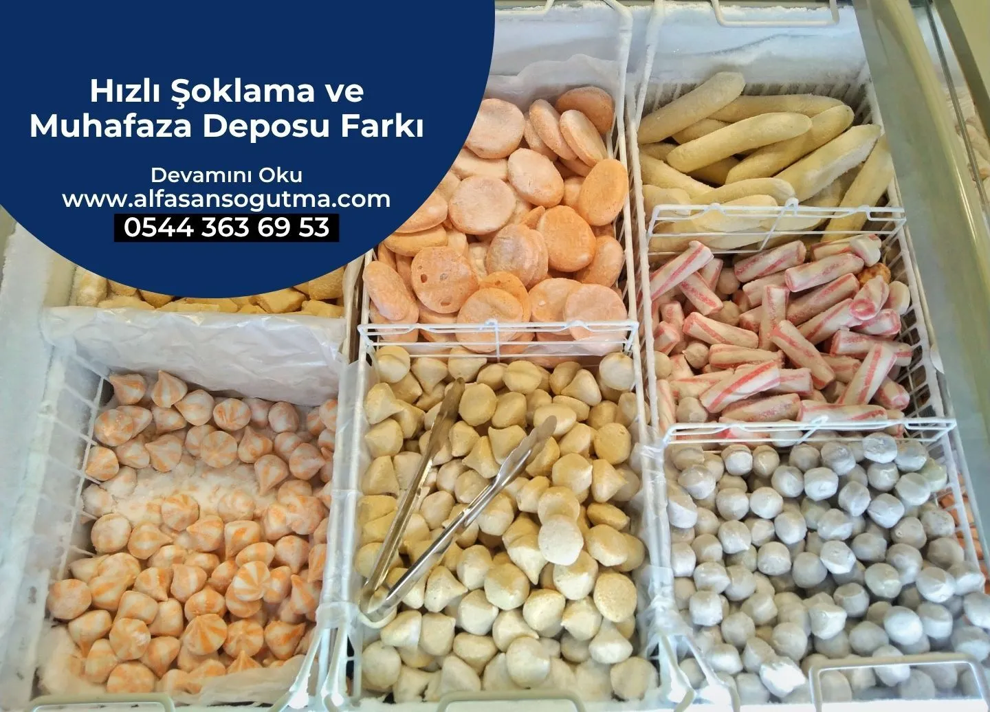 Hızlı Şoklama Ve Muhafaza Deposu Farkı