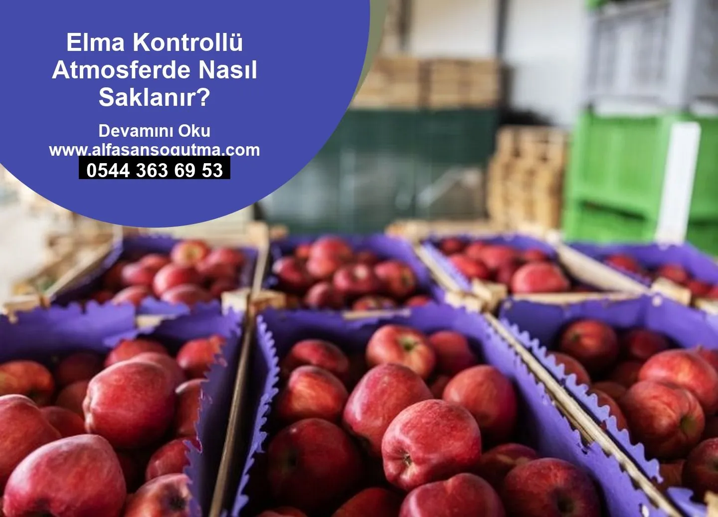 Elma Kontrollü Atmosferde Nasıl Saklanır?