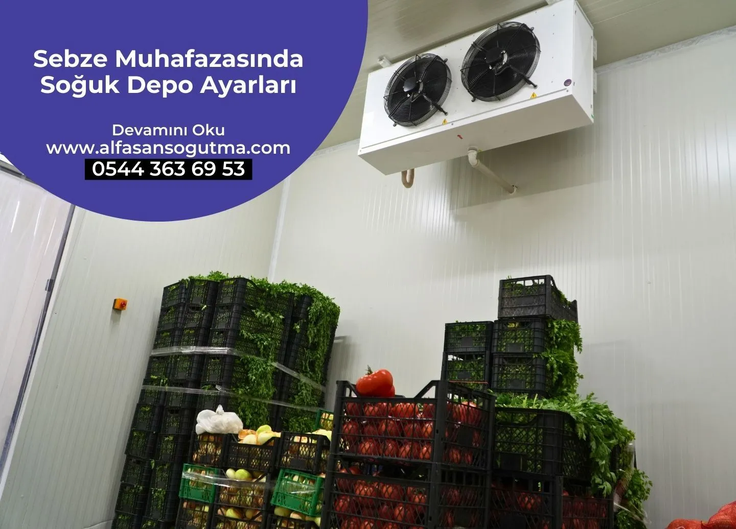 Sebze Muhafazasında Soğuk Depo Ayarları