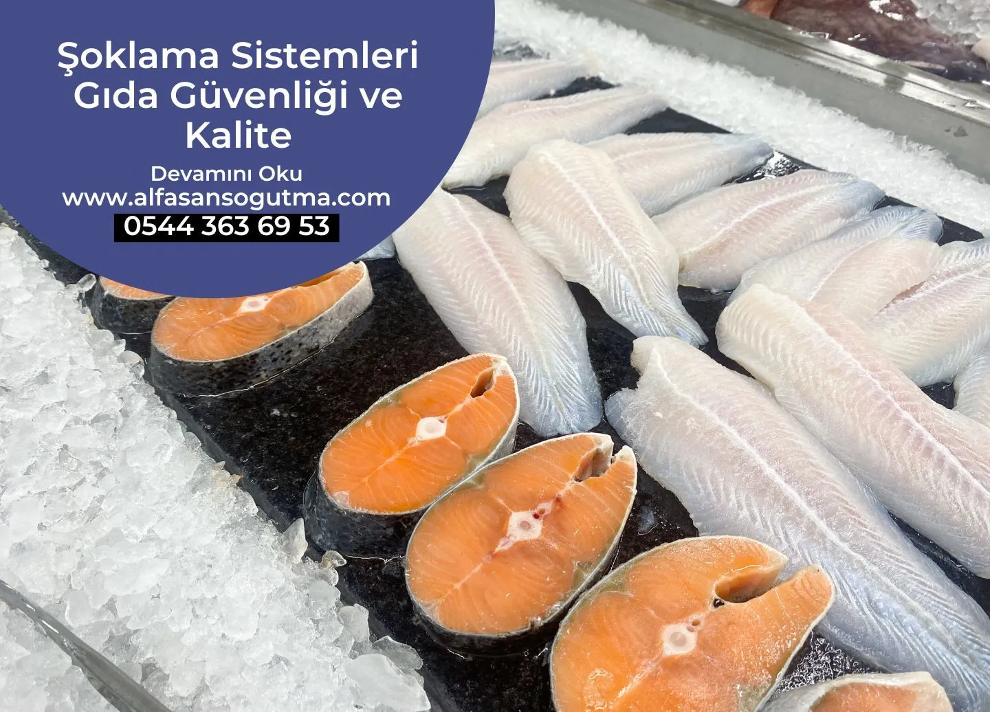 Şoklama Sistemleri Gıda Güvenliği ve Kalite