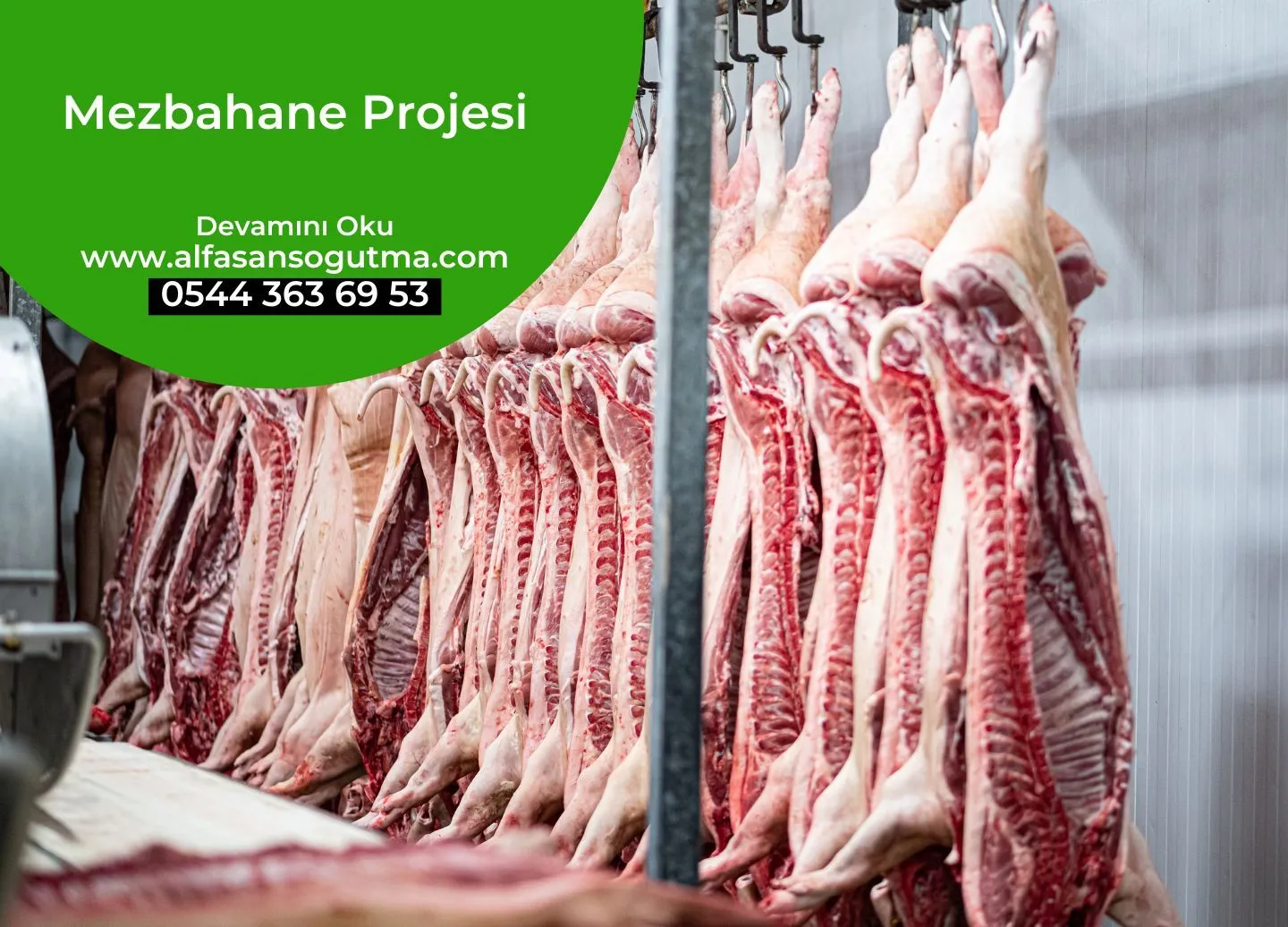Mezbahane Projesi