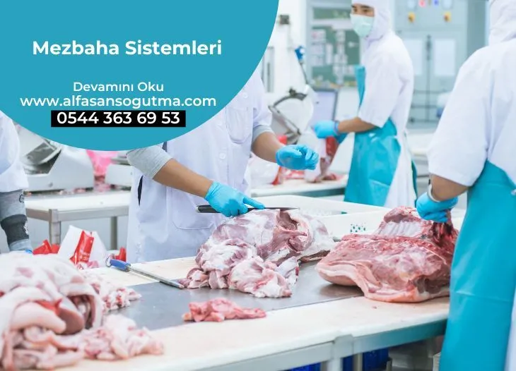 Mezbaha Sistemleri