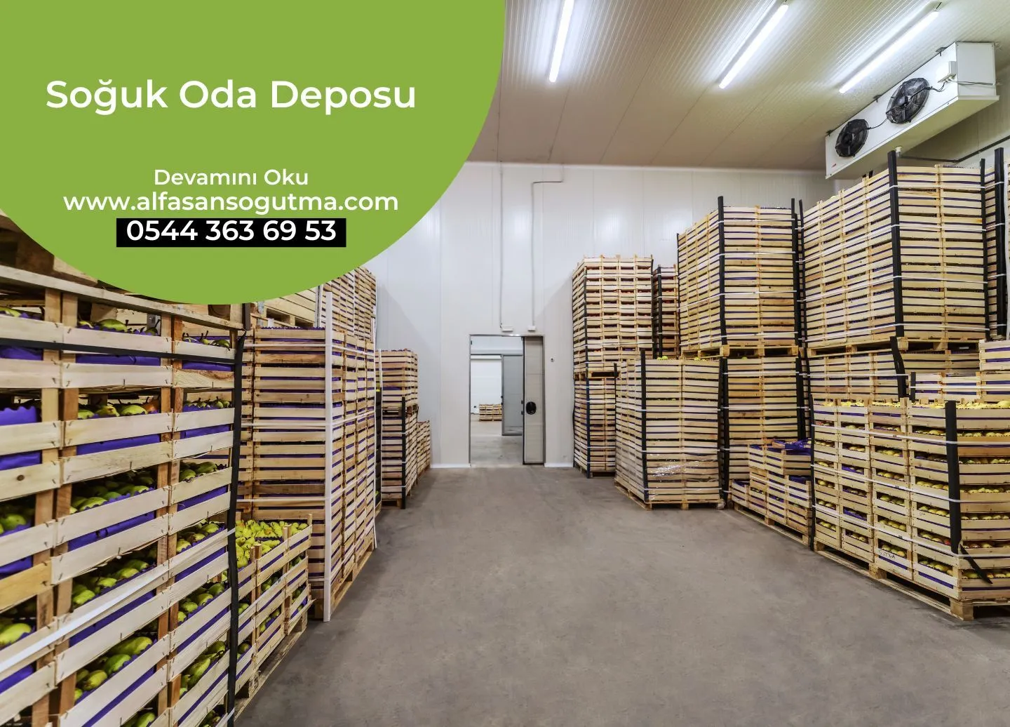 Soğuk Oda Deposu