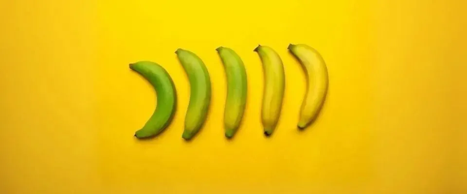 Fruit Ripening Warehouses