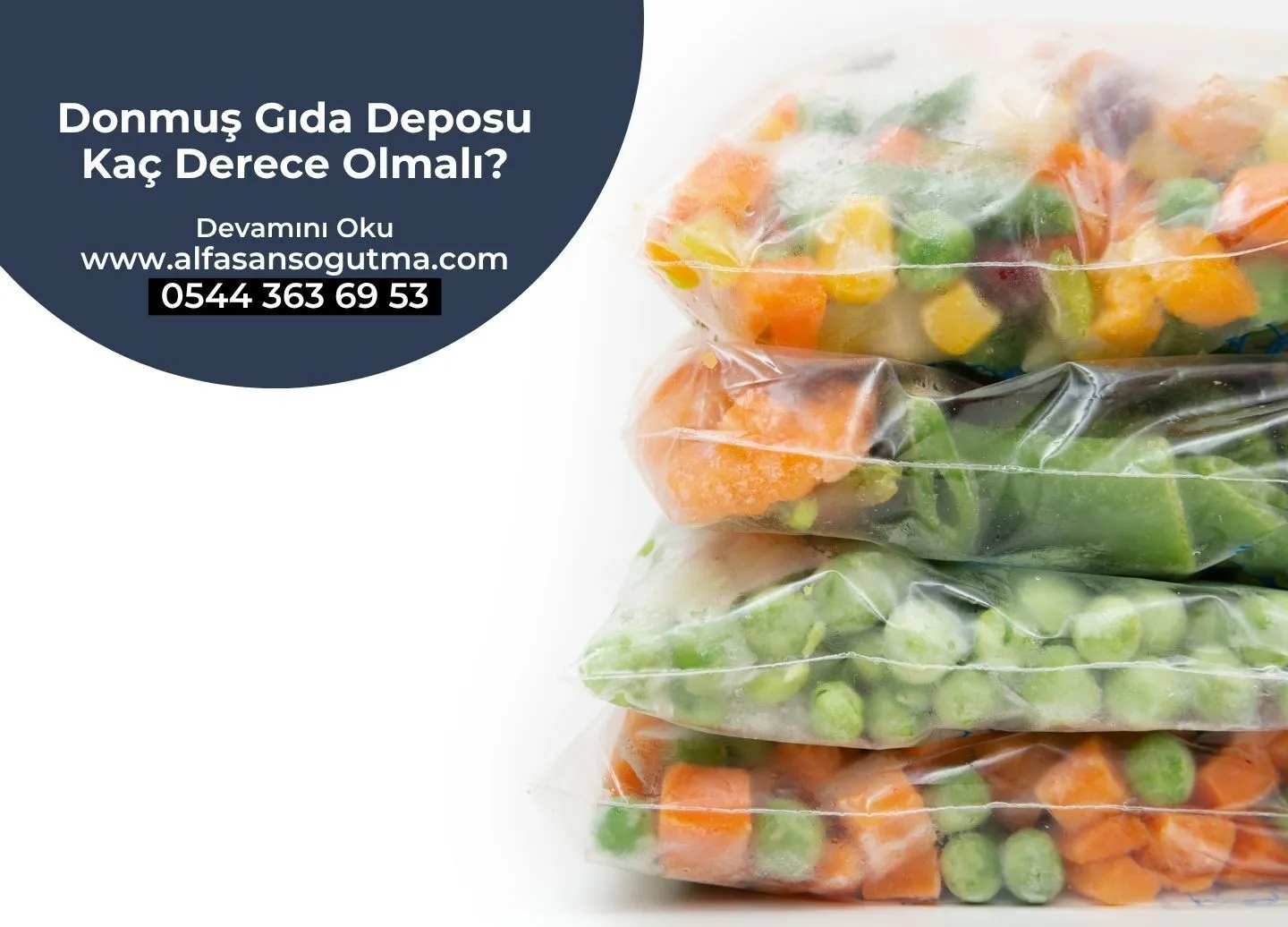 Donmuş Gıda Deposu Kaç Derece Olmalı?