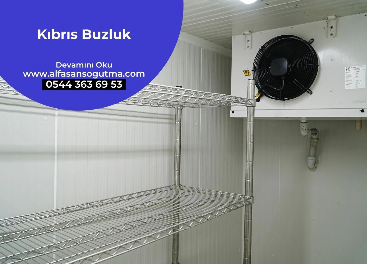 Kıbrıs Buzluk