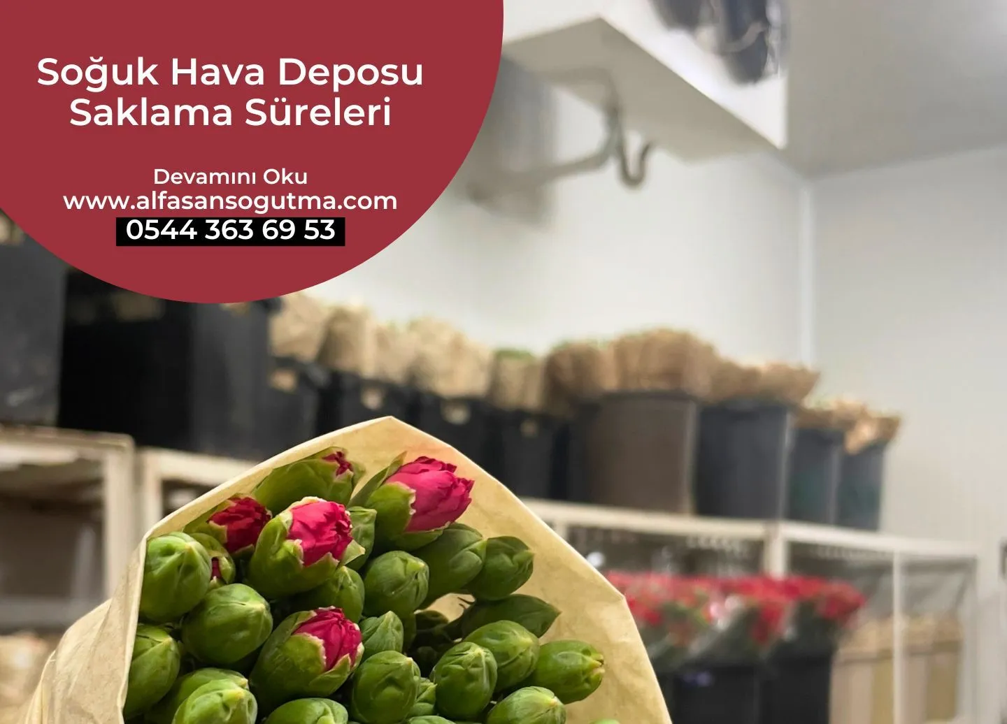 Soğuk Hava Deposu Saklama Süreleri