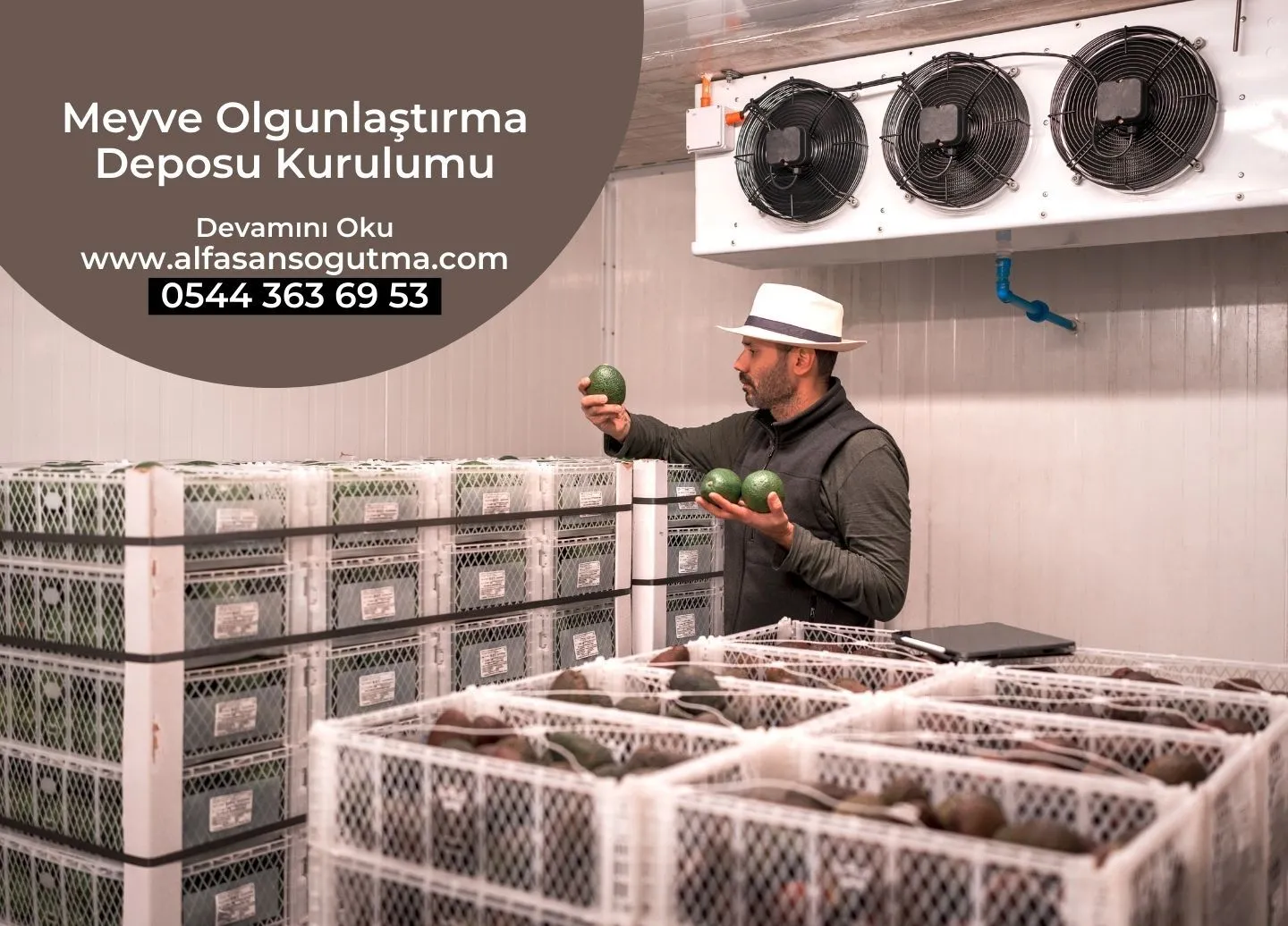 Meyve Olgunlaştırma Deposu Kurulumu