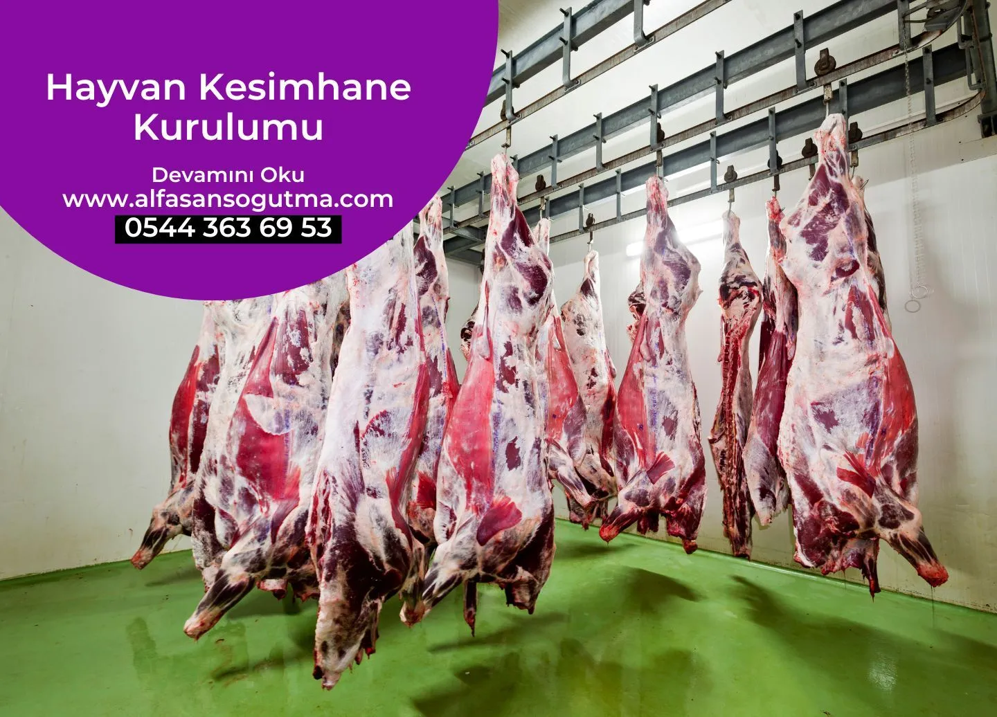 Hayvan Kesimhane Kurulumu