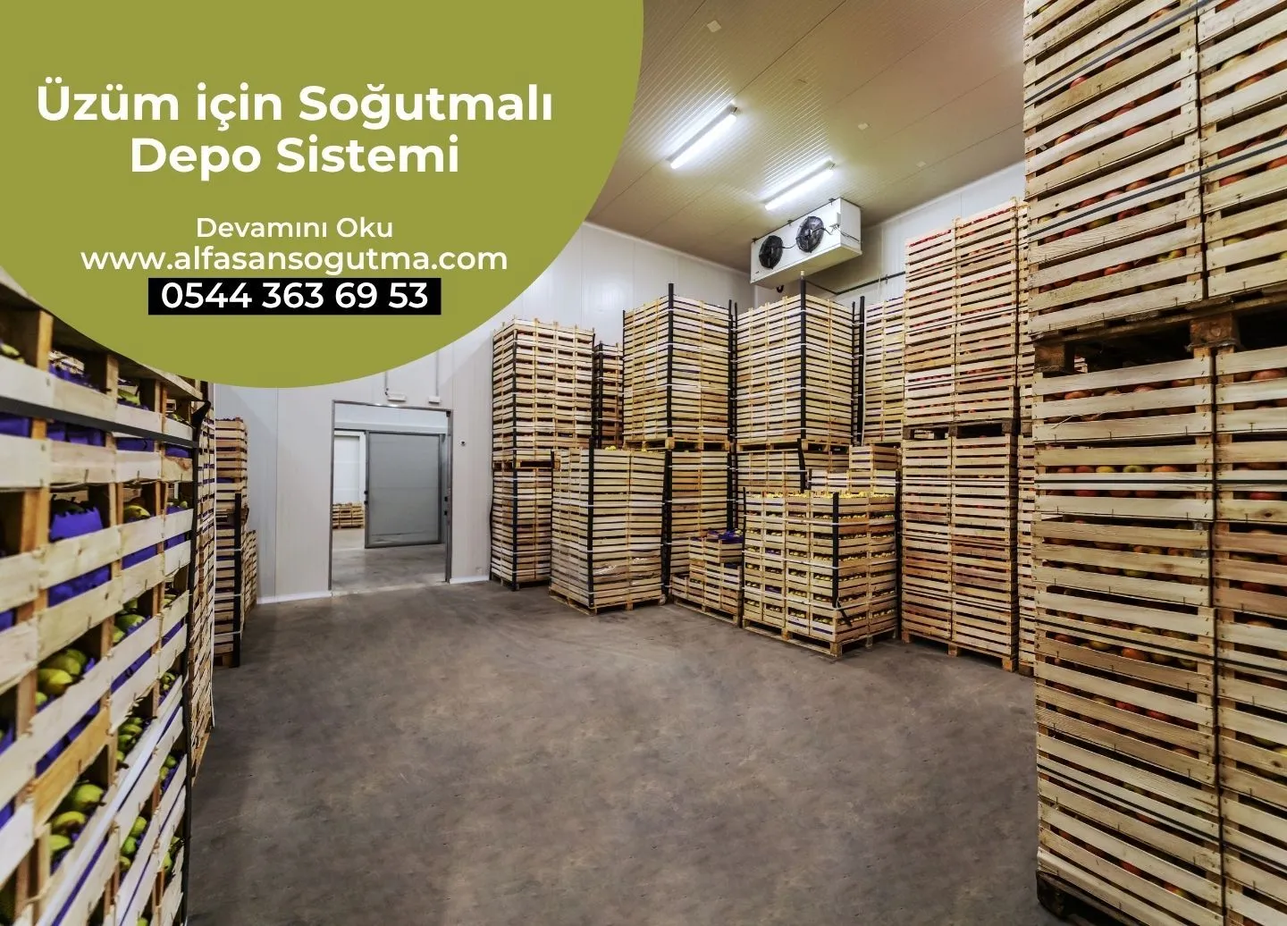 Üzüm için Soğutmalı Depo Sistemi