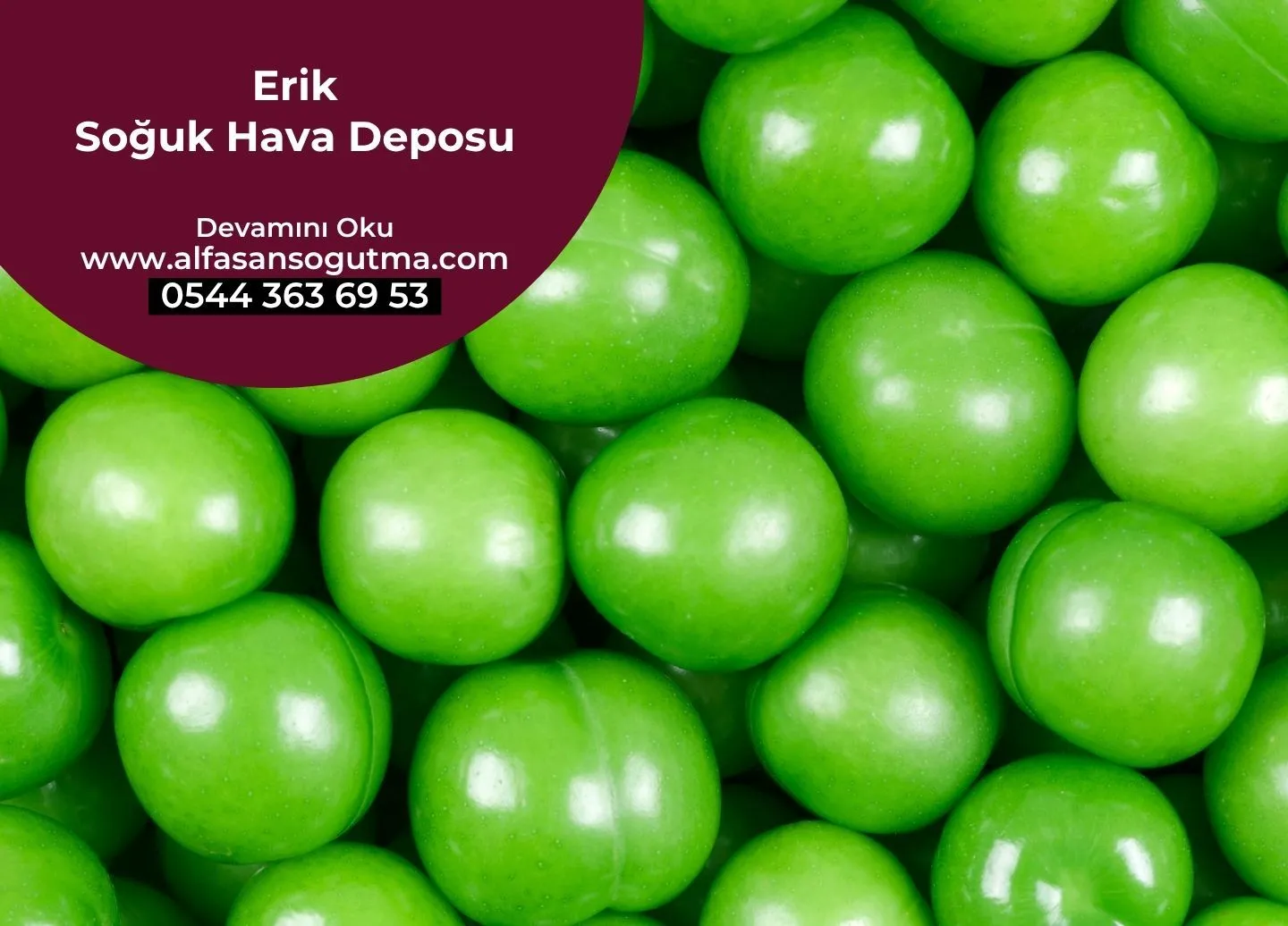 Erik Soğuk Hava Deposu