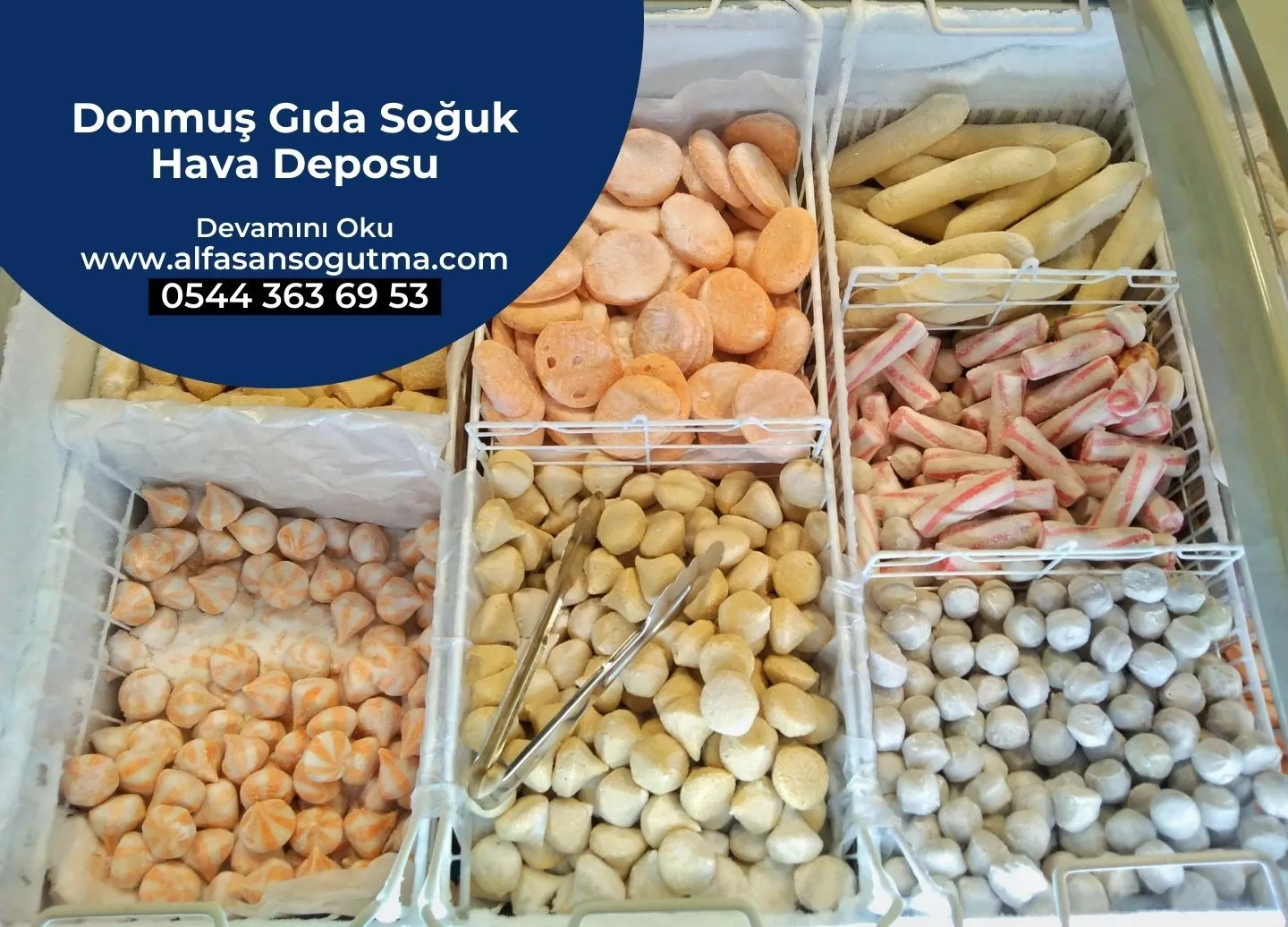 Donmuş Gıda Soğuk Hava Deposu