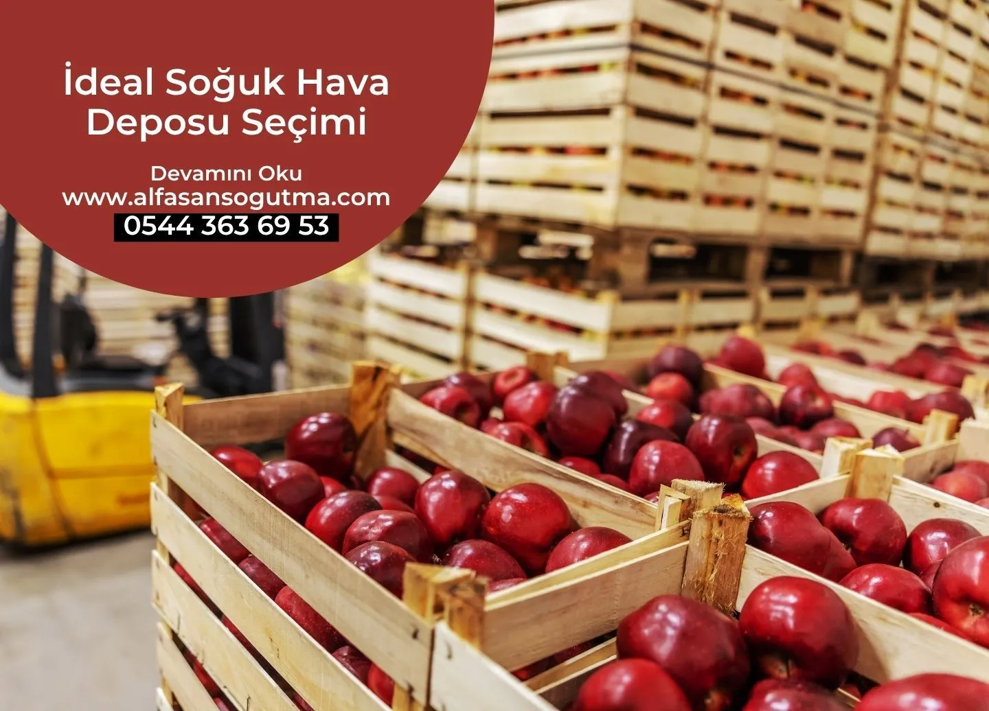 İdeal Soğuk Hava Deposu Seçimi
