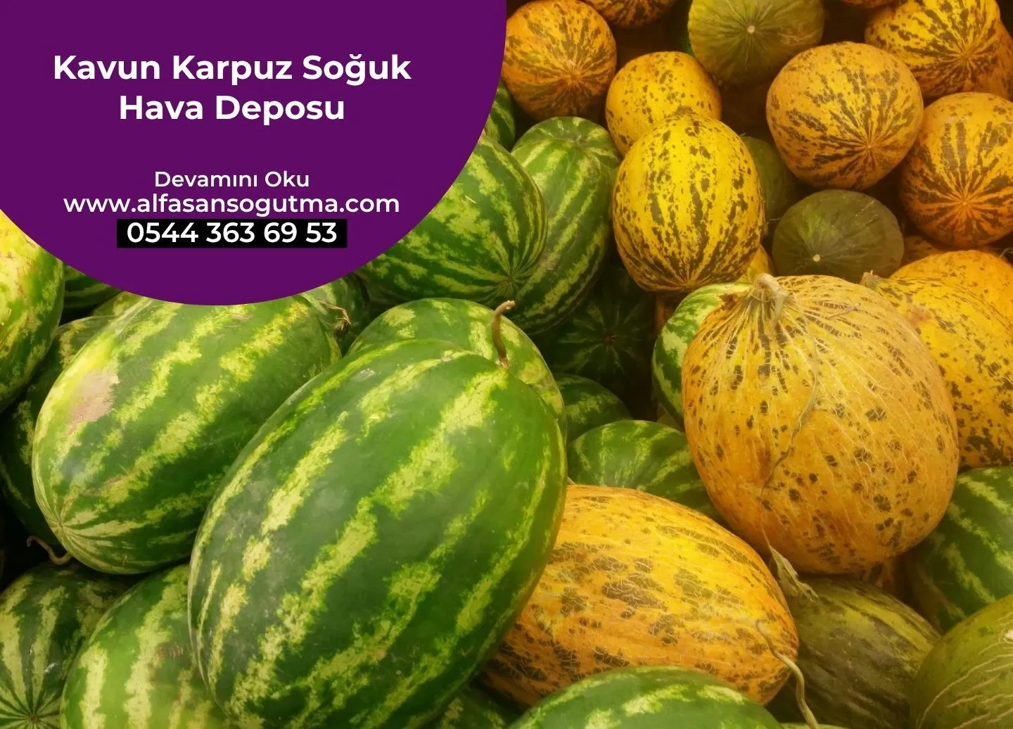 Kavun Karpuz Soğuk Hava Deposu