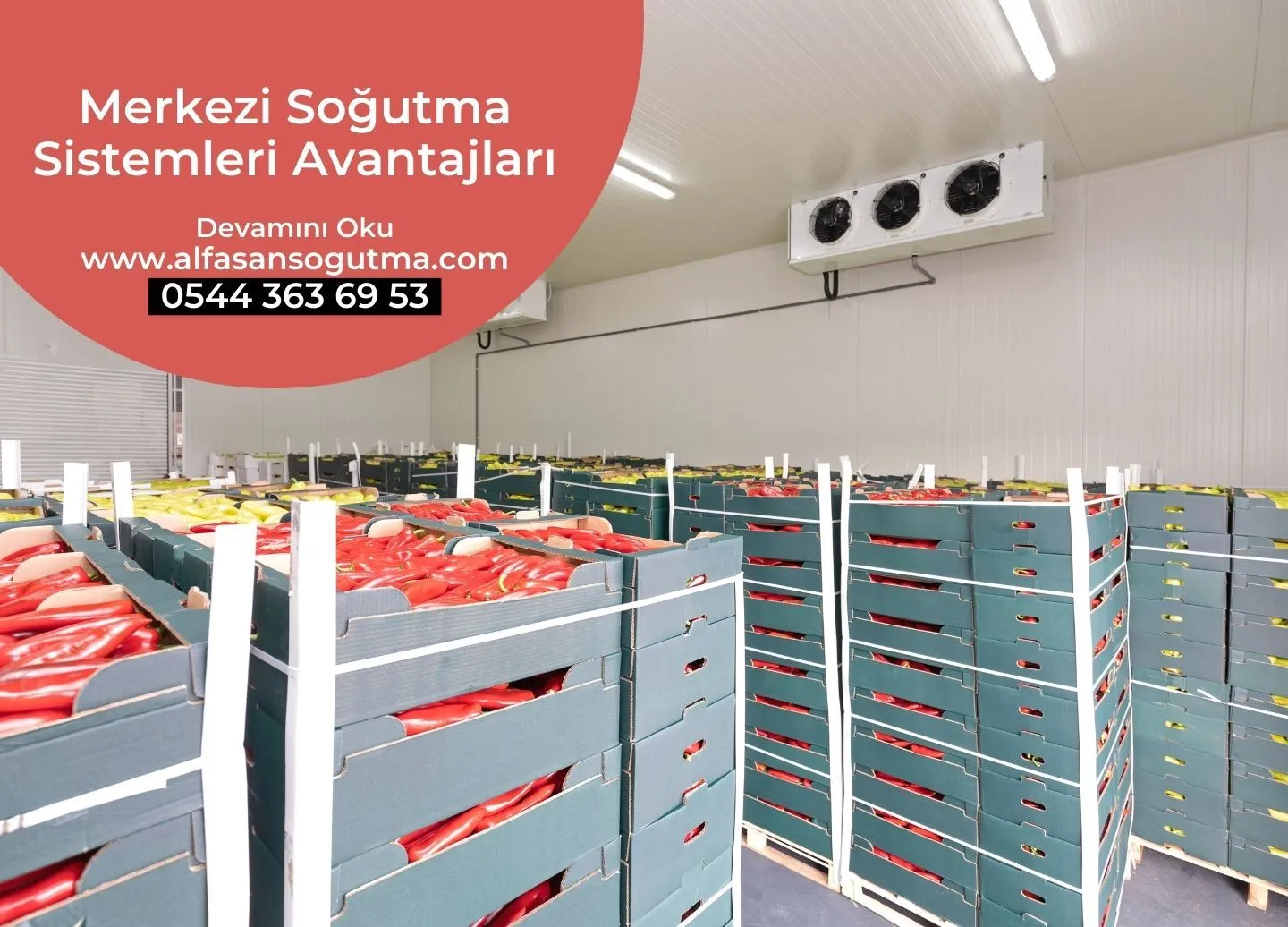 Merkezi Soğutma Sistemleri Avantajları