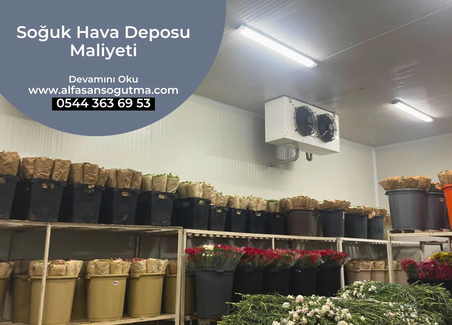 Soğuk Hava Deposu Maliyeti