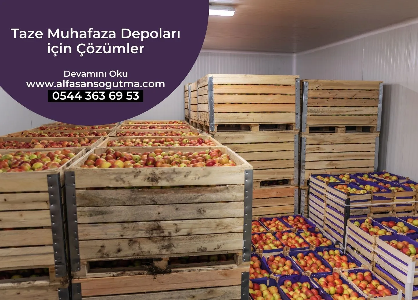 Taze Muhafaza Depoları için Çözümler