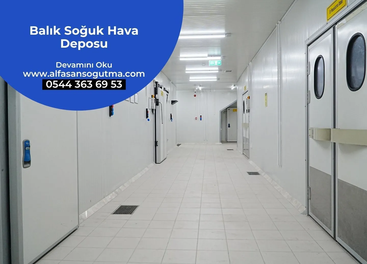 Balık Soğuk Hava Deposu