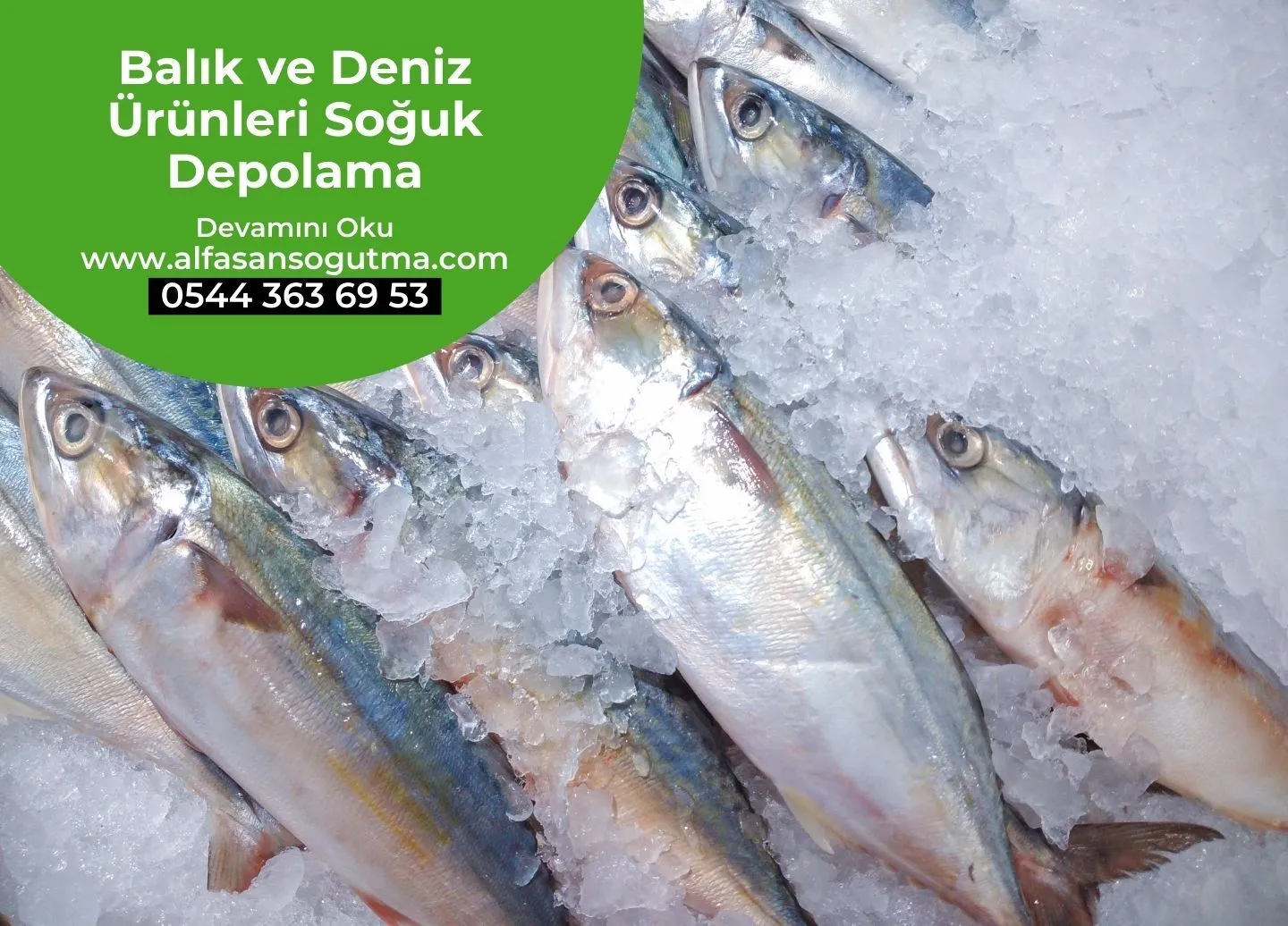 Balık ve Deniz Ürünleri Soğuk Depolama