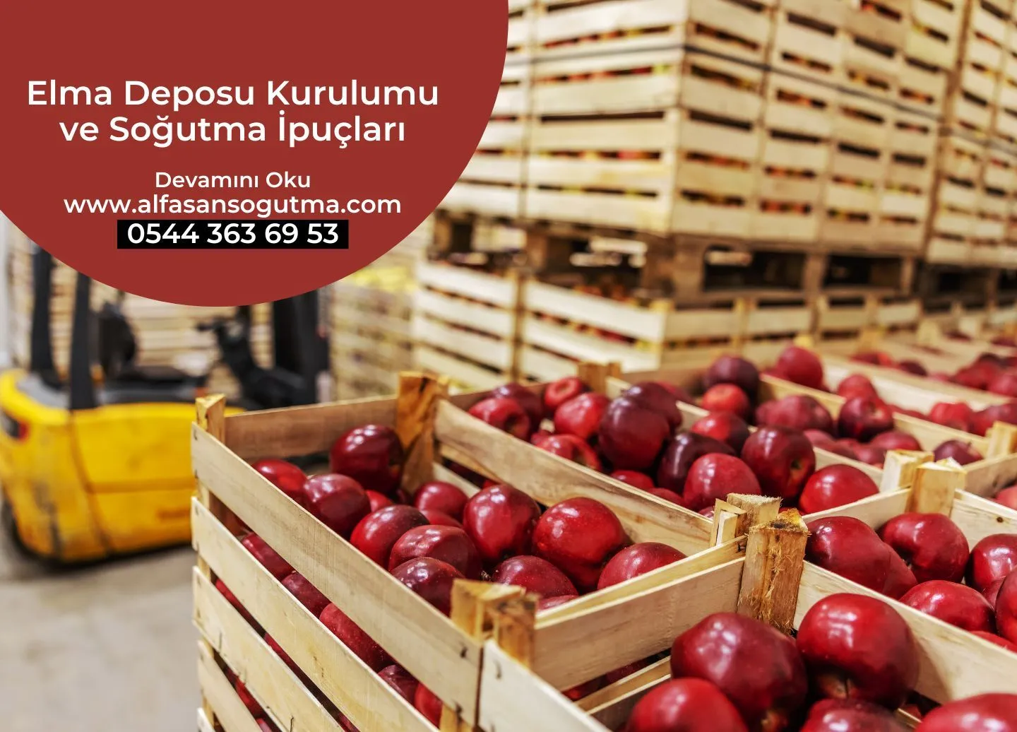 Elma Deposu Kurulumu ve Soğutma İpuçları