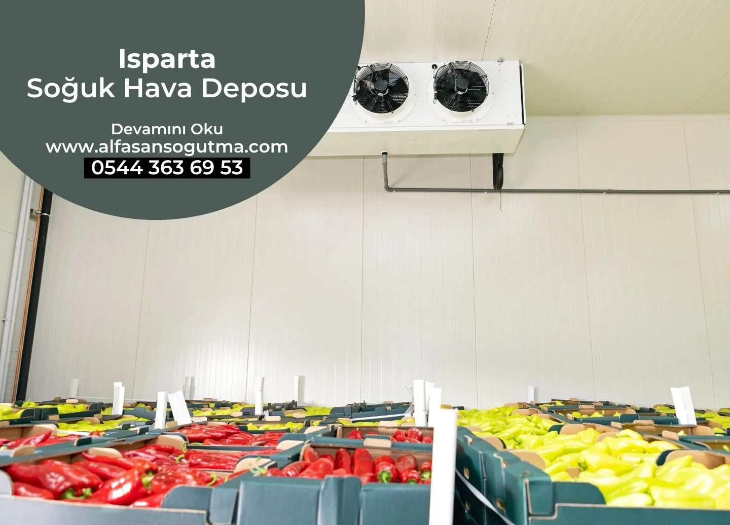 Isparta Soğuk Hava Deposu