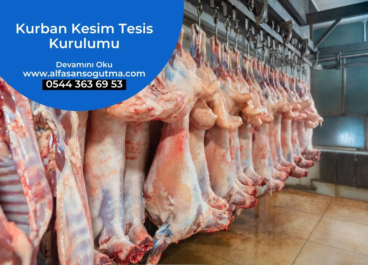 Kurban Kesim Tesis Kurulumu
