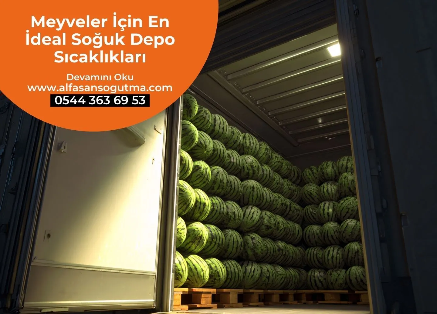Meyveler İçin En İdeal Soğuk Depo Sıcaklıkları