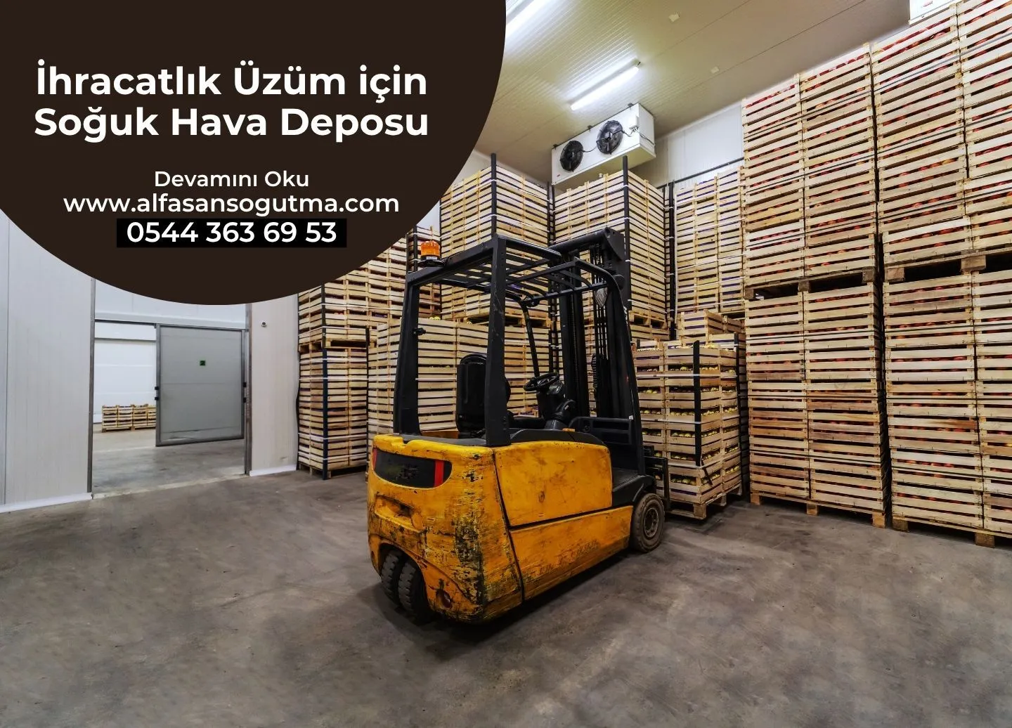 İhracatlık Üzüm için Soğuk Hava Deposu