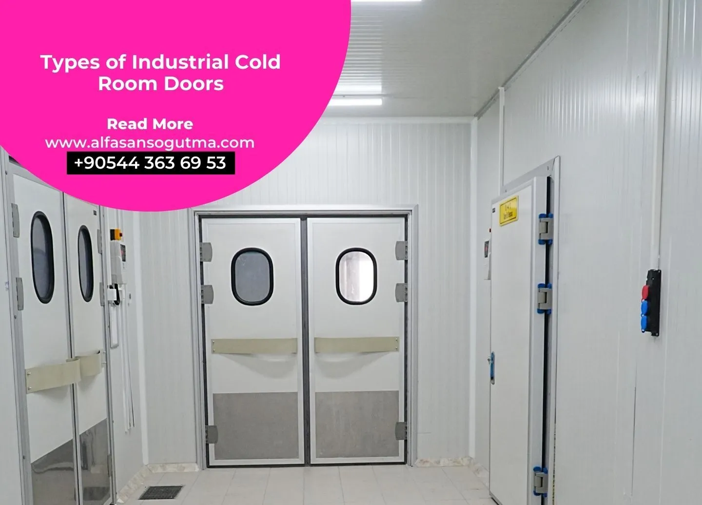 Types of Industrial Cold Room Doors