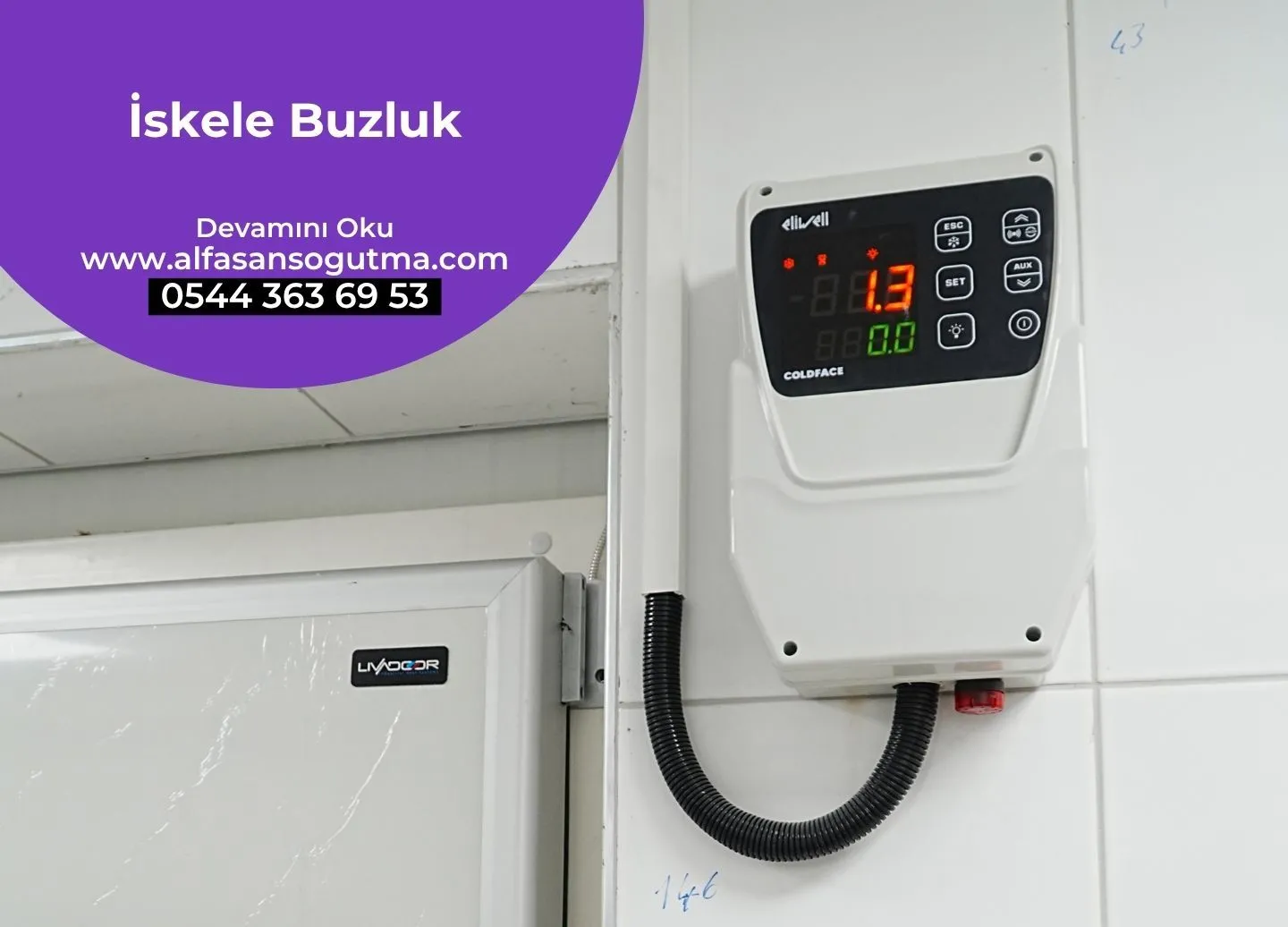 İskele Buzluk