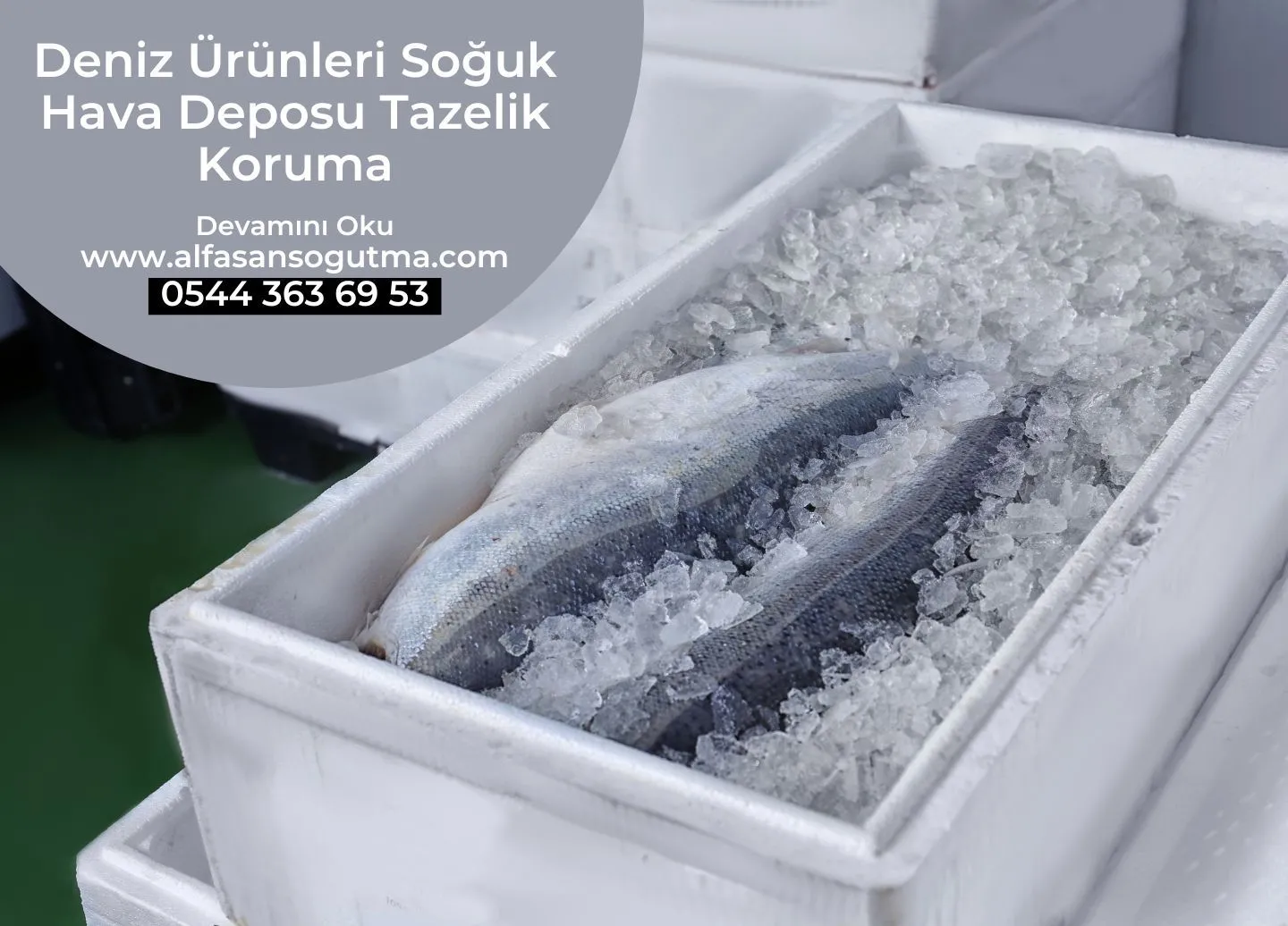 Deniz Ürünleri Soğuk Hava Deposu Tazelik Koruma